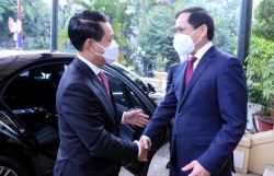 Laos, Việt Nam stress int"t law, ASEAN centrality in handling regional issues: Foreign ministers