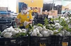 Business association helps connect Vietnamese, Malaysian firms