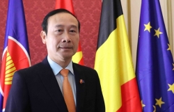 PM’s trip to elevate Việt Nam – EU to new height: diplomat