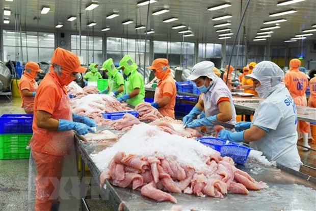 Over 90% of Tra fish on sale in US are from Vietnam hinh anh 1