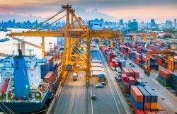 Trade surplus increases, agriculture shines