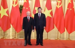 Party diplomacy contributes to raising Vietnam’s position: senior official