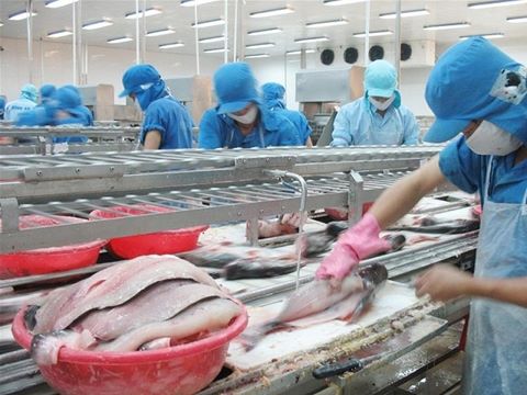 responses to incorrect and defamatory information on tra fish bred in the cuu long mekong river