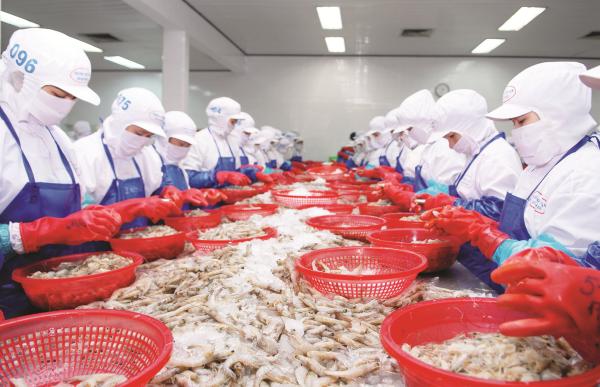 viet nam seafood exports endless obstacles