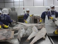 Avoid defrauding in seafood exports
