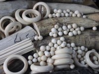 Collected more than 3 kg of ivory products transporting to Thailand via Noi Bai airport