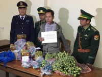Deliberately transporting opium poppy seeds and firecrackers cross border
