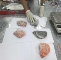 HCM City Customs: Seize 5 cases of transporting narcotics in the beginning of 2018