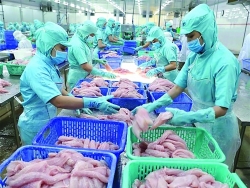 Seafood exports face many difficulties in 2022