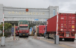 Lang Son stops receiving trucks transporting fresh fruits and flowers to border gates