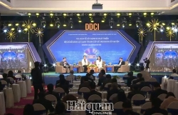 DDCI promote to improve the business environment in provinces