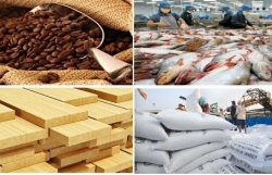 Increasing the export of agricultural products has advantages in 2022