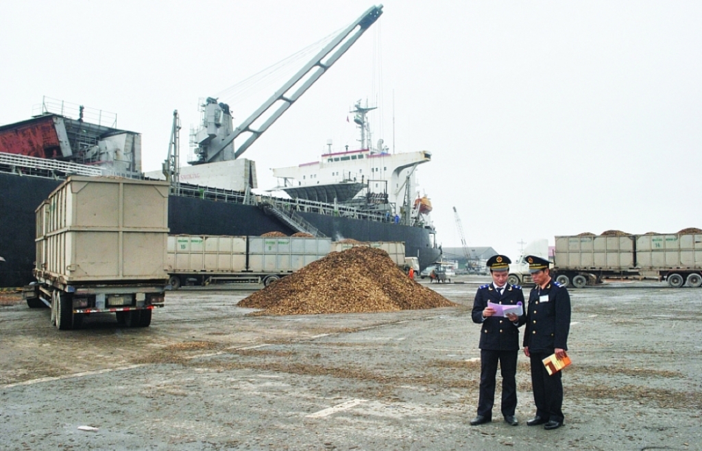 Ha Tinh Customs contributes to creating resilience for the Central region