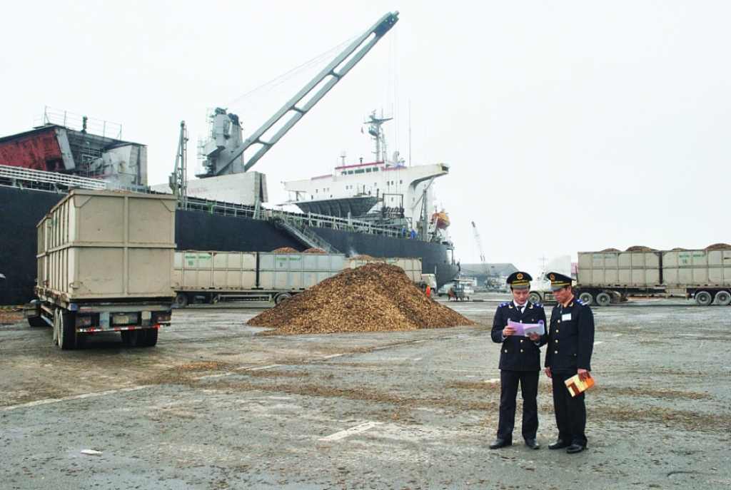 Customs officers of Vung Ang port (Ha Tinh) inspect and supervise goods at the port. Photo: M.Hung
