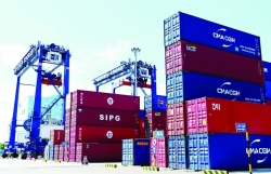 The Government promulgates 16 Decrees on special preferential import and export tariffs