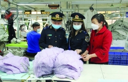 Revenue collection of Customs sector in 2022 hit a new record of over VND437,000 billion