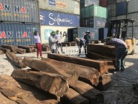Complete inspection of 50 containers of smuggled fine wood