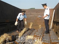 Speeding up cargo clearance via Dong Dang international railway