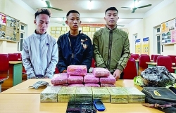 Nghe An: Difficulty dealing with drug-related crimes