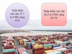 Import and export estimated at over US$54 billion in January 2021