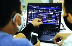 Expect a prosperous year for Vietnam's stock market