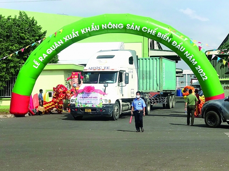 The first shipment of processed fruit for export to Europe, Korea, Japan, Russia and the Middle East in 2022 was carried out by the Dong Nai province's functional departments on January 5. Photo: ST