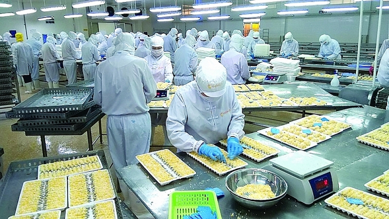 Seafood processing at Camimex Company. Photo: H.T