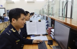 Hai Phong Customs: Revenue collection from automobiles increase by nearly VND 100 billion