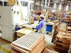 Timber enterprises invest in market development