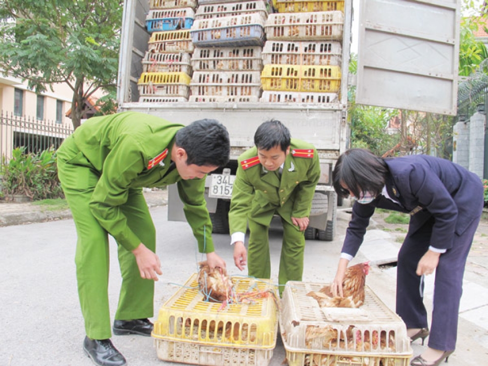 lang son strict control of illegal transport of poultry and poultry products