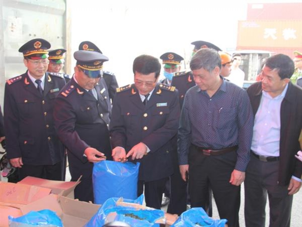 hai phong 3 tons of khat leaves seized for the first time