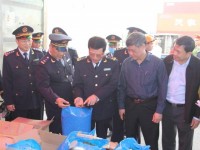 Hai Phong: 3 tons of Khat leaves seized for the first time