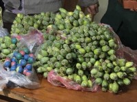 Ha Tinh arrests a person trading fresh opium