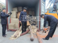 Que Vinh Company imported 20m3 “Palo santo” without CITES certificate at Dinh Vu port