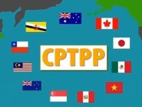 The Ministry of Industry and Trade outlined the CPTPP implementation schedule