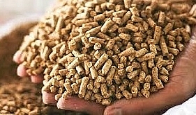 suggest suspending inclusion of cfs in dossier of animal feed quality inspection