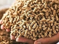Suggest suspending inclusion of CFS in dossier of animal feed quality inspection