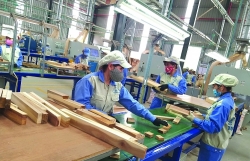 Wood export has high growth during the pandemic