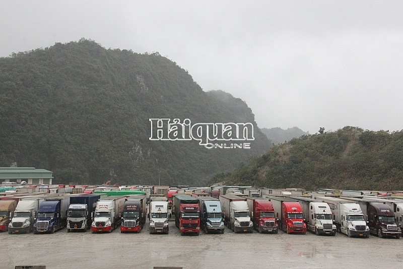 Truck transporting goods are waiting for clearance at Bao Nguyen parking lot. Photo: H.Nụ