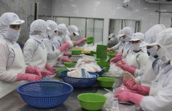 Seafood enterprises propose to the Prime Minister to remove obstacles