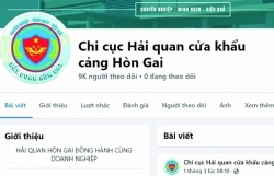 Quang Ninh Customs support enterprises in specific ways