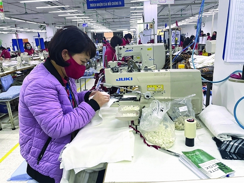 Enterprises still have many opportunities to promote exports to the markets of countries in the CPTPP. Photo: Nguyen Thanh