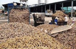 The implementation of anti-fraud of value-added tax refund for cassava exports in accordance with the law