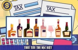 Which items are subject to an excise tax?