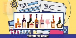 Which items are subject to excise tax?