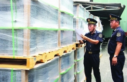 Long An Customs: Preventing fraud in export processing and production