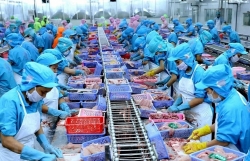 Positive signals of Pangasius exports to high inflation markets