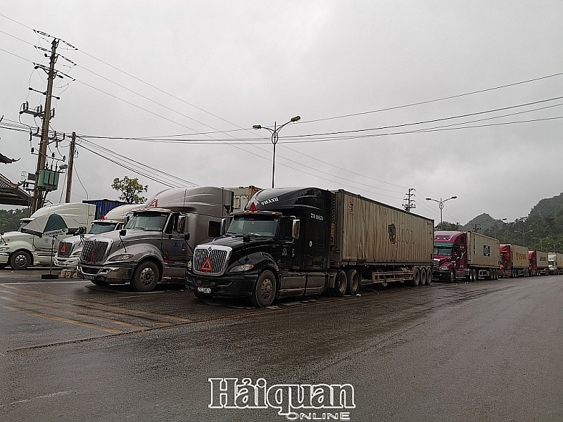 The number of vehicles transporting goods that are backlogged at border area of Lang Son province increase sharply. Photo: H.Nụ