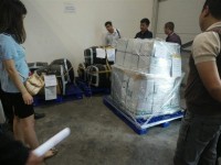Continuously discover 2 shipments contained pangolin scab at Noi Bai Airport