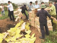 Quang Ninh Customs strictly control smuggled foods